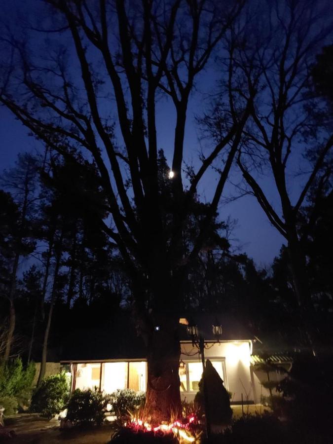 Fort Janowek Exteriör bild
